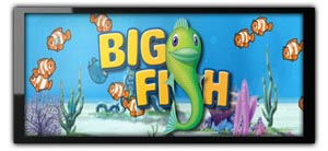 Big Fish Games